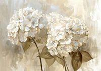 Hortensie
