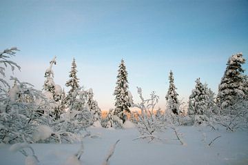 Winter wonderland in Zweden van Barbara Koppe