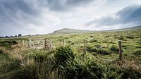 Cumbria landschaft von Freddy Hoevers Miniaturansicht