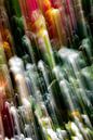 waterfall by Jan Peter Jansen thumbnail