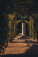 Een Oogwenk in Eeuwige Elegantie | Kasteel de Haar | Haarzuilens | Utrecht | Holland | Europa