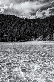 Lac de Carinthie BW