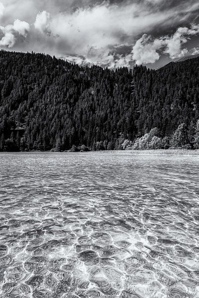 Carinthia Lake BW by Tim Lee Williams