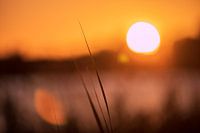 Sonnenuntergang am Paterswoldsemeer