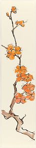 Winter I - Orange Plum Blossom, Chris Paschke von Wild Apple