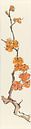 Winter I - Orange Plum Blossom, Chris Paschke by Wild Apple thumbnail