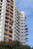 Drying the laundry (3)