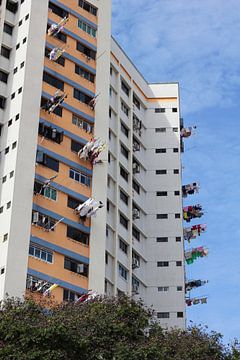 Drying the laundry (3) by Martijn Stoppels