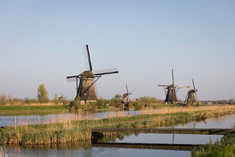 Windmühlen mit Wasser im Abendlicht, Kinderdijk von Ger Beekes