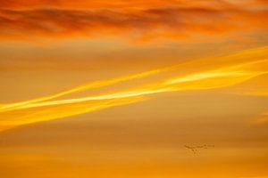 Sonne | Sonnenaufgang, ein Vollbildausschnitt bei 800mm Zoom von Servan Ott