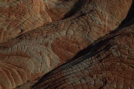 Yant Flat - Candy Cliffs - Cottonwood Forest Wilderness Utah USA van Frank Fichtmüller