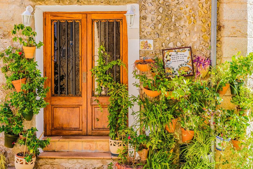Topfpflanzen in der Altstadt von Valldemossa, Mallorca Spanien Balearische Inseln von Alex Winter