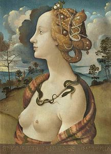 Simonetta Vespucci, Piero di Cosimo