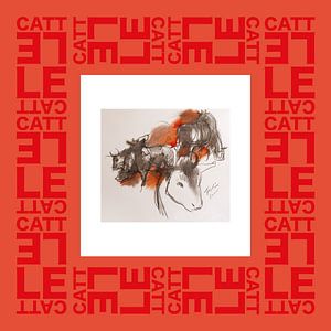 Cattle