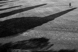 Grands arbres Petit homme sur Martijn Jebbink Photography