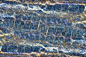 Abstract 41