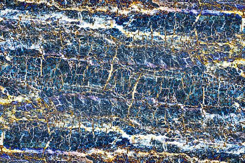 Abstract 41