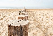 Beach poles row towards the sea near Domburg in Zeeland. by Ron van der Stappen thumbnail