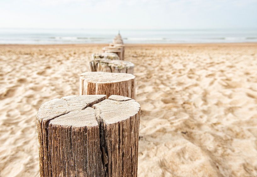 Beach poles row towards the sea near Domburg in Zeeland. by Ron van der Stappen