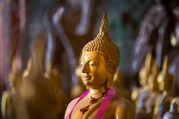 Golden Buddha statue in the Pak Ou cave, Laos by Rietje Bulthuis
