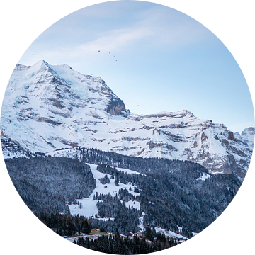 Uitzicht op het Jungfrau-massief vanuit Wengen van t.ART