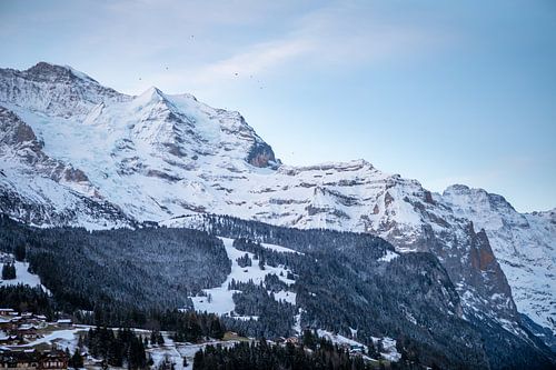 View of the Jungfrau massif from Wengen