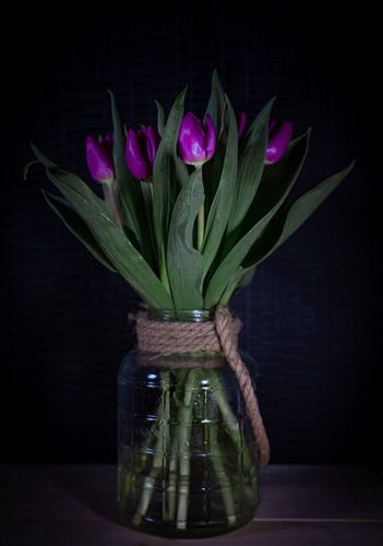 Tulipes avec vase dans le noir