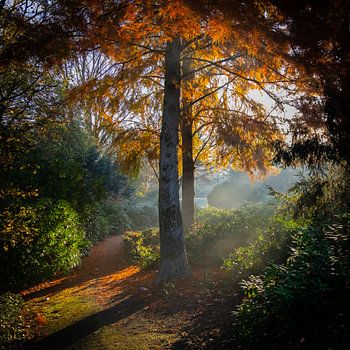 Sentier de randonnée le long de Berk avec des feuilles d'automne