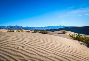 Dunes de sable dans la Vallée de la Mort 