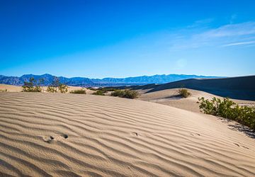 Sand dunes in Death Valley  van Ton Kool