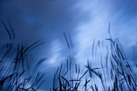 Krachtige wolken laten het perceel bewegen.
