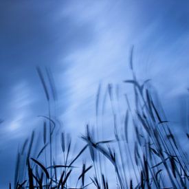 Krachtige wolken laten het perceel bewegen. van Emma Westers