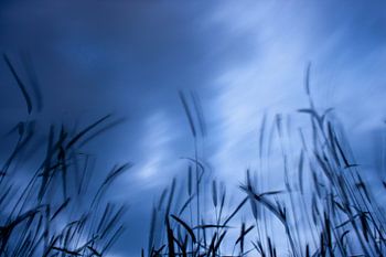 Krachtige wolken laten het perceel bewegen.
