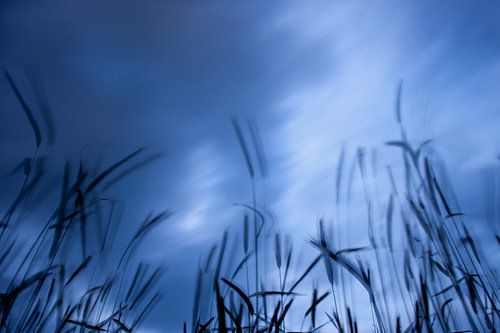 Krachtige wolken laten het perceel bewegen.