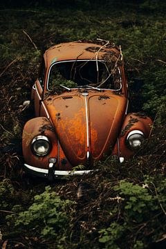 La Coccinelle VW oubliée