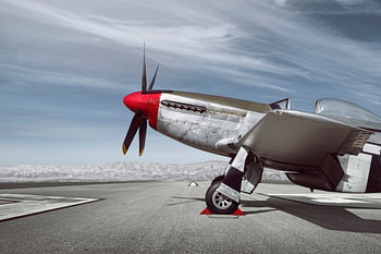 P-51 Mustang Warbird