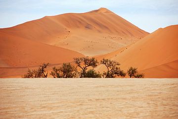 NAMIBIA ... Namib Desert  Dunes I van Meleah Fotografie