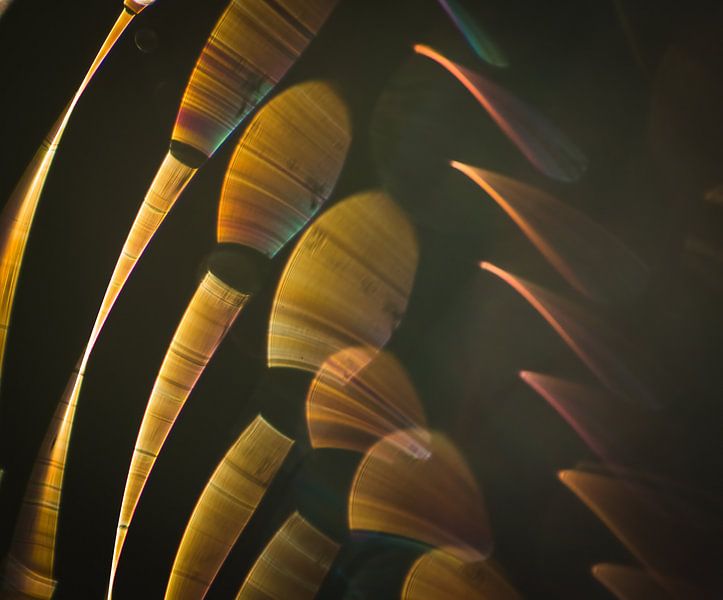Golden Sunset: A Dance of Orange Forms" by natascha verbij