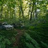 Verlaten auto's in het bos bij een vervallen huis. van Het Onbekende