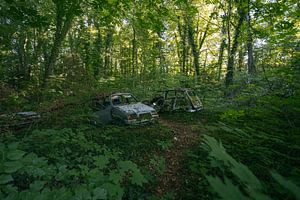Verlassene Autos im Wald in der Nähe eines baufälligen Hauses. von Het Onbekende