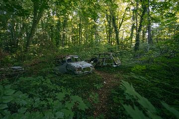 Verlaten auto's in het bos bij een vervallen huis. van Het Onbekende