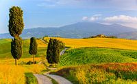 Agriturismo Podere Terrapille. Toskana, Italien von Henk Meijer Photography Miniaturansicht