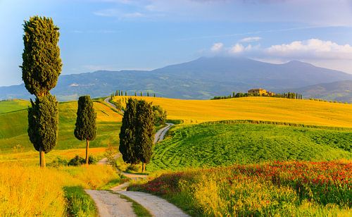 Agriturismo Podere Terrapille. Toscane, Italië