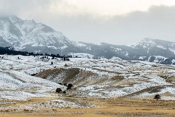 Winterlandschaft im Yellowstone von Sjaak den Breeje