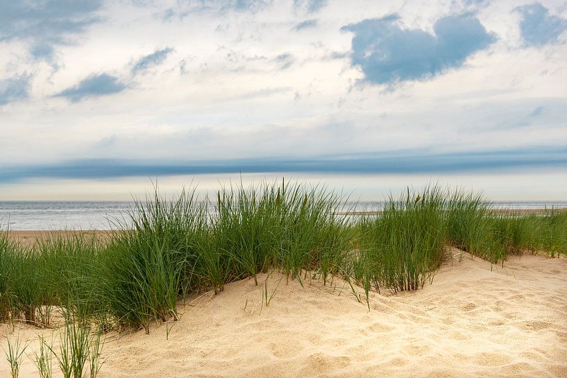 Blick von den Dünen auf den Sandstrand der Nordseeküste von Sjoerd van der Wal Fotografie