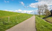 Lange Straße im niederländischen Polder von Ruud Morijn Miniaturansicht