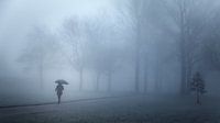 Wandelaarster in de mist van Jan van der Knaap thumbnail