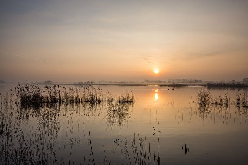 mornings by Bart Liesenborgs