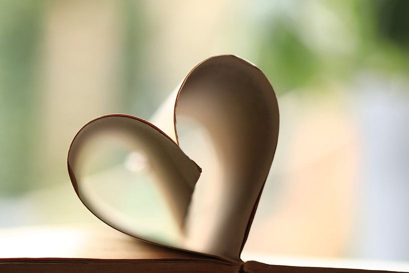 Heart by Fotografie Sybrandy
