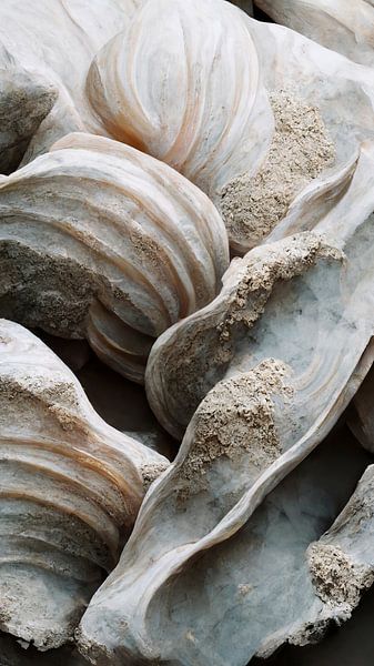 Détail des coquillages de mer No 2 par Treechild